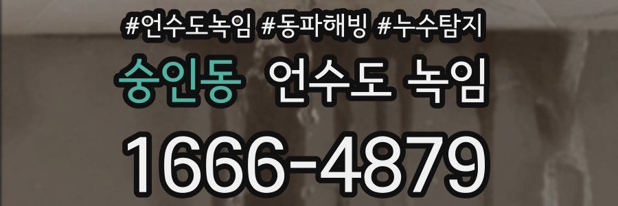 숭인동 언수도 녹임