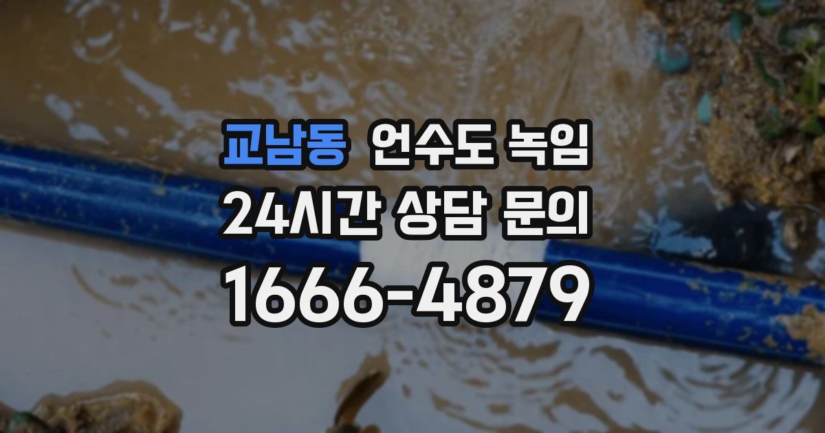 교남동 언수도 녹임