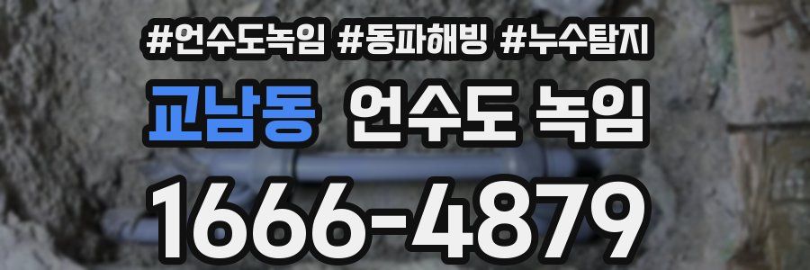 교남동 언수도 녹임