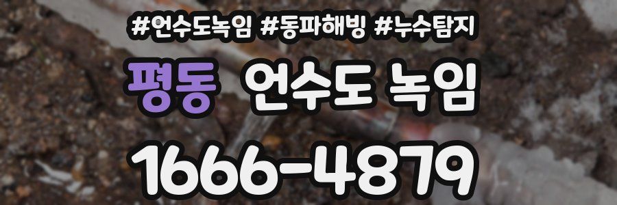 평동 언수도 녹임