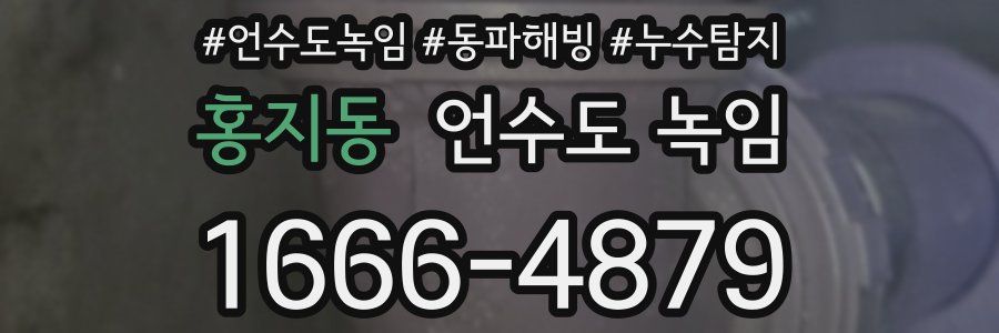 홍지동 언수도 녹임