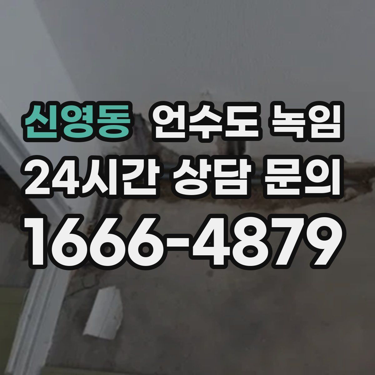 신영동 언수도 녹임