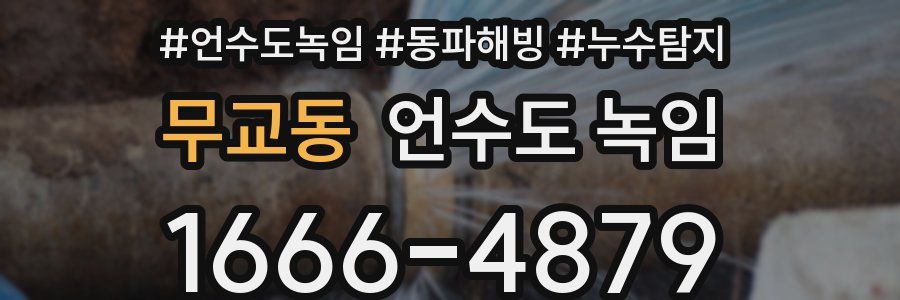 무교동 언수도 녹임