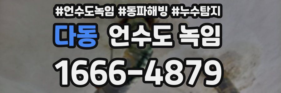 다동 언수도 녹임