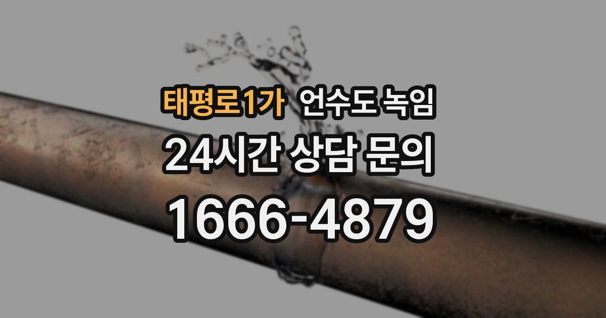 태평로1가 언수도 녹임