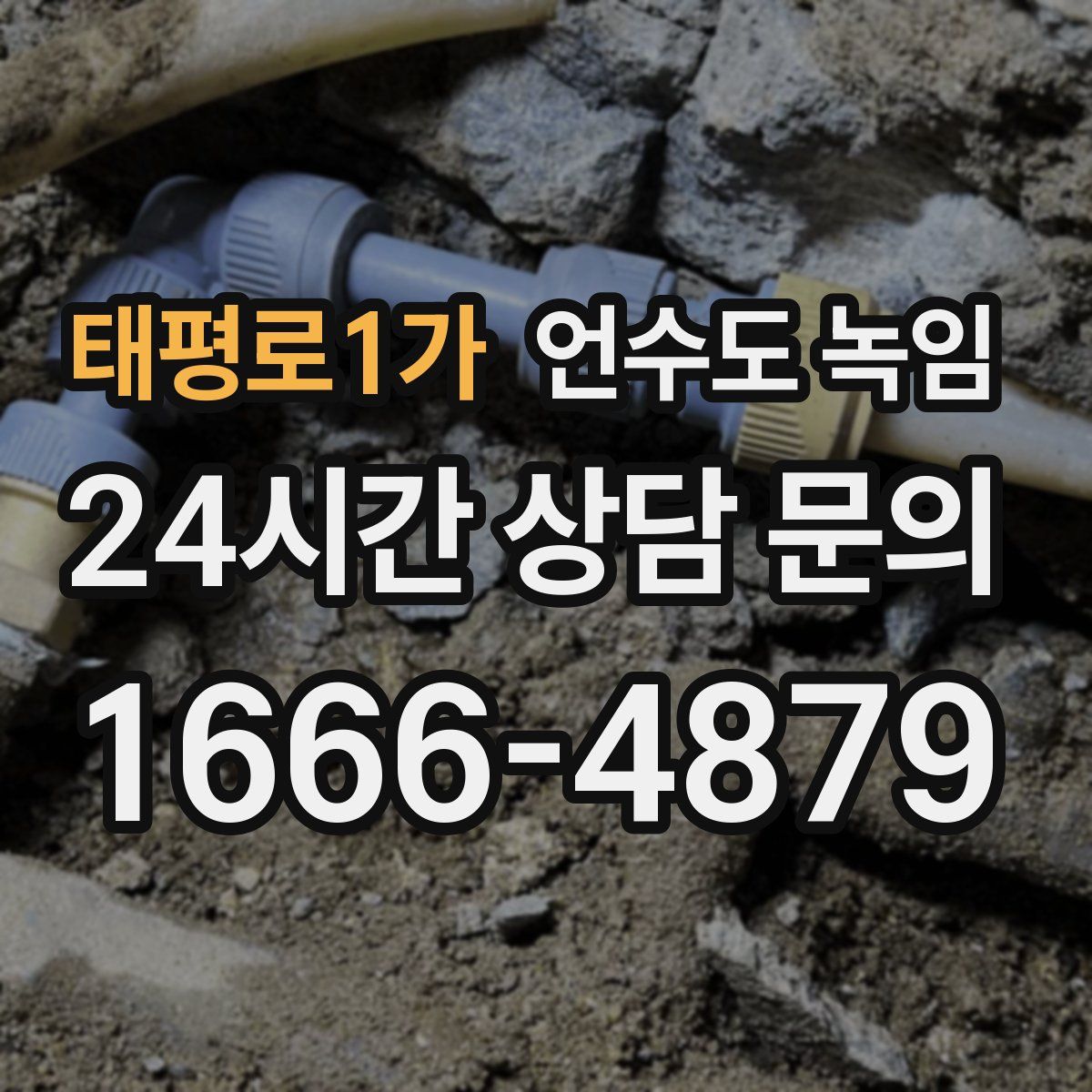 태평로1가 언수도 녹임