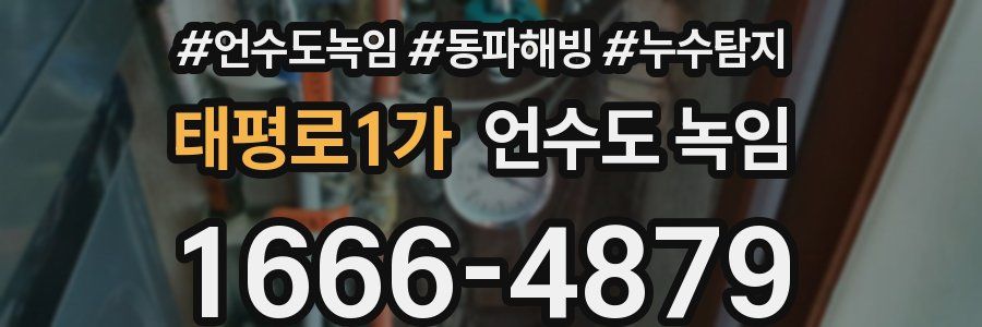 태평로1가 언수도 녹임