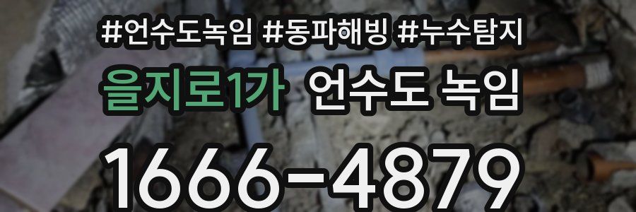 을지로1가 언수도 녹임