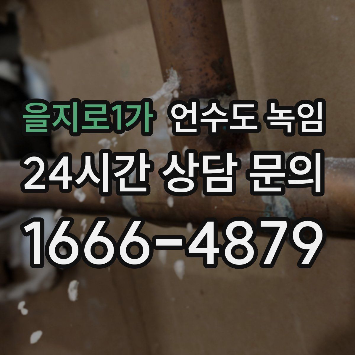 을지로1가 언수도 녹임