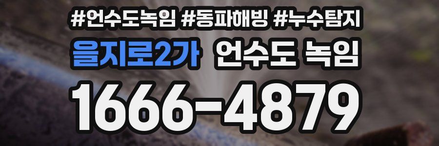 을지로2가 언수도 녹임