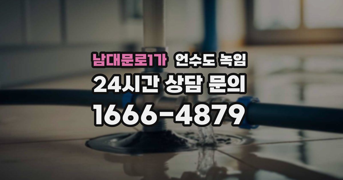 남대문로1가 언수도 녹임