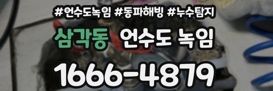 삼각동 언수도 녹임