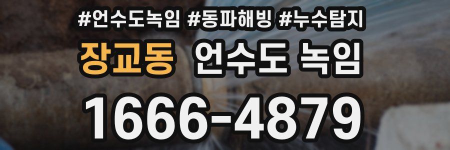 장교동 언수도 녹임