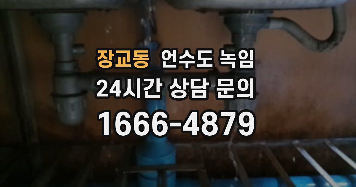 장교동 언수도 녹임