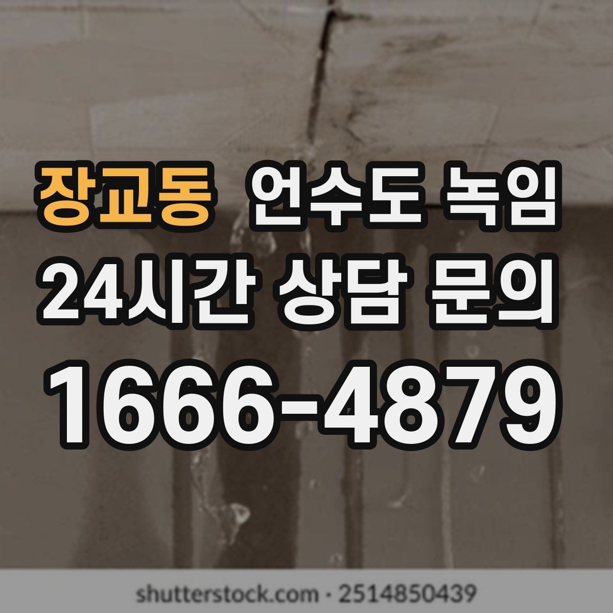 장교동 언수도 녹임