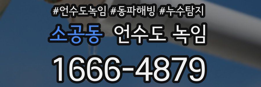 소공동 언수도 녹임