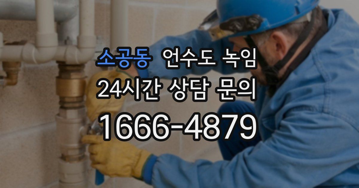 소공동 언수도 녹임