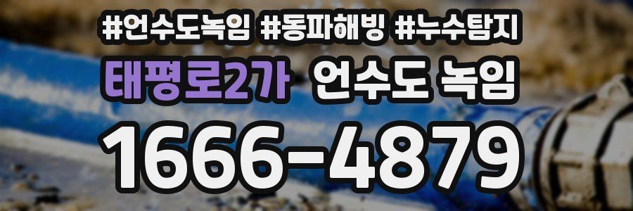 태평로2가 언수도 녹임