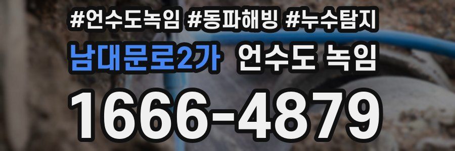 남대문로2가 언수도 녹임