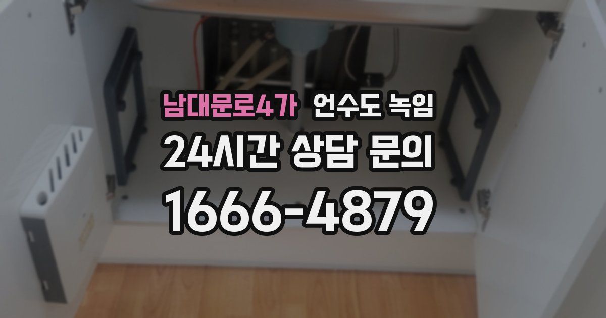 남대문로4가 언수도 녹임