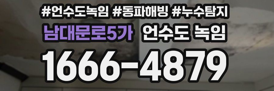 남대문로5가 언수도 녹임