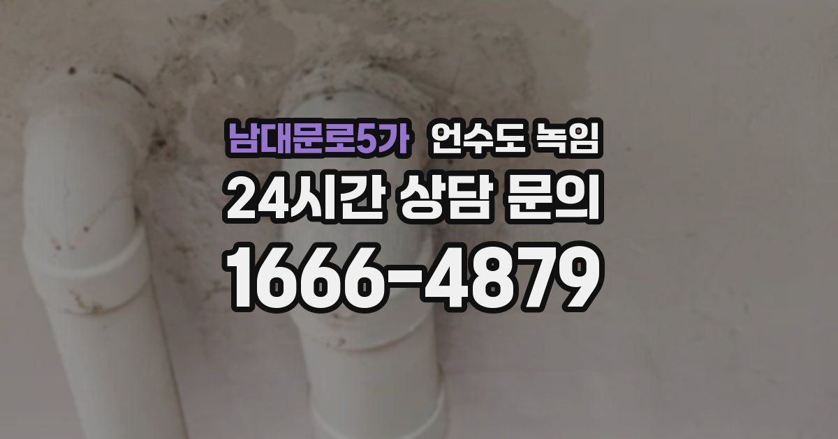 남대문로5가 언수도 녹임