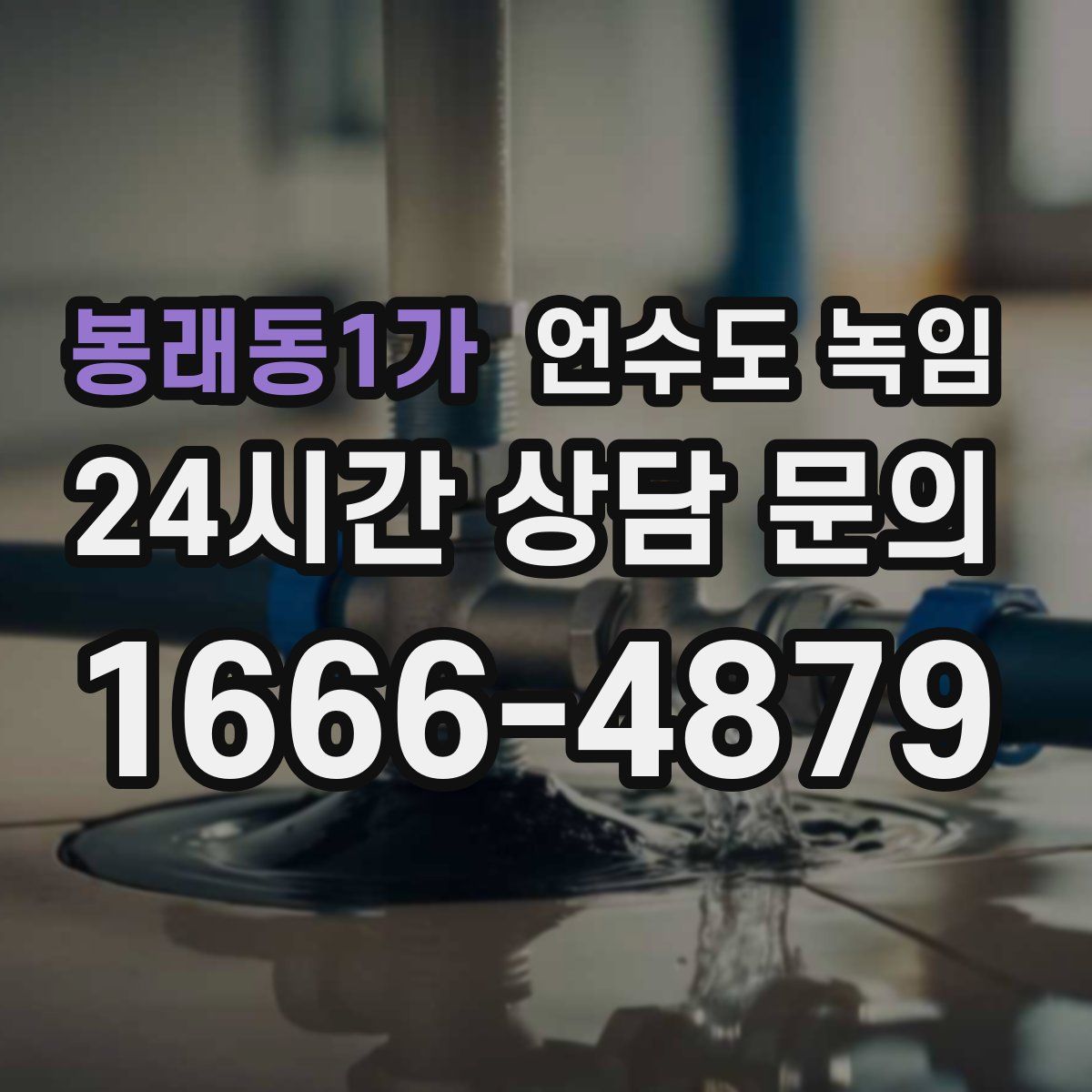 봉래동1가 언수도 녹임