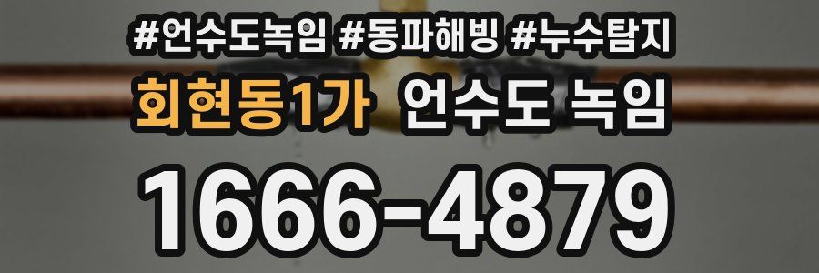 회현동1가 언수도 녹임