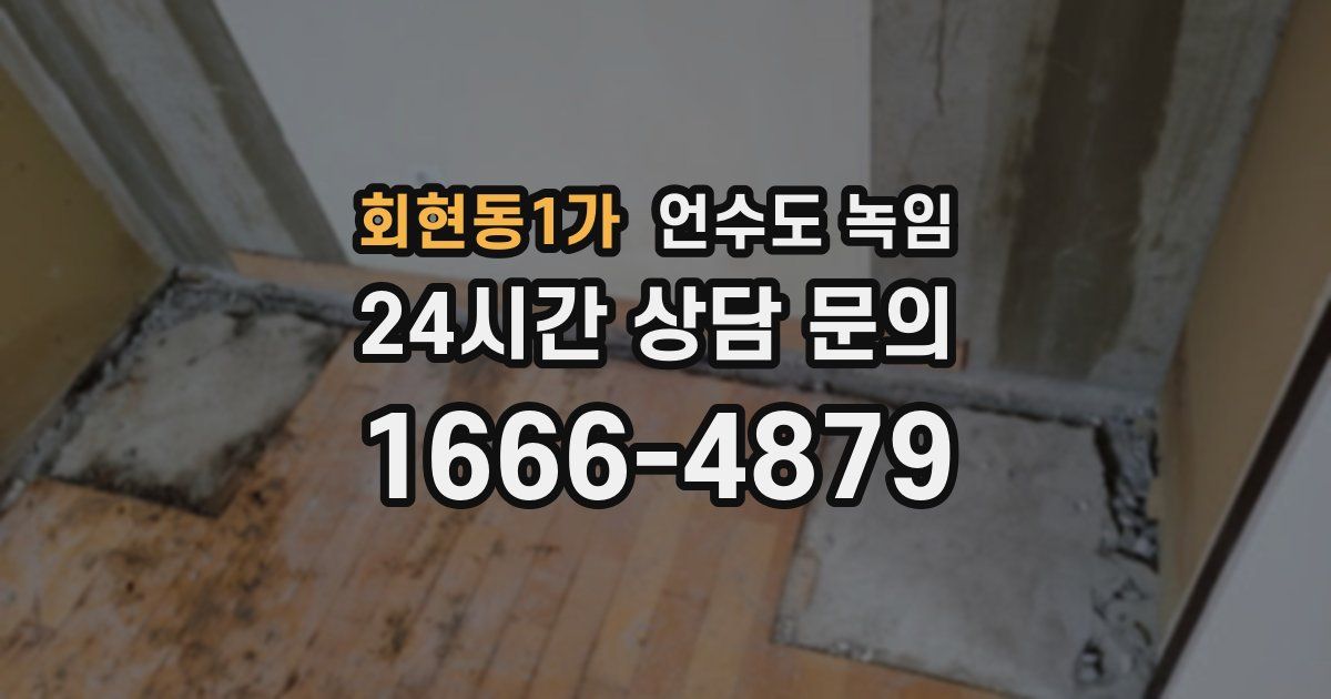 회현동1가 언수도 녹임