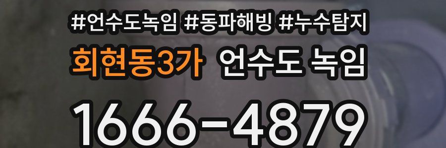 회현동3가 언수도 녹임