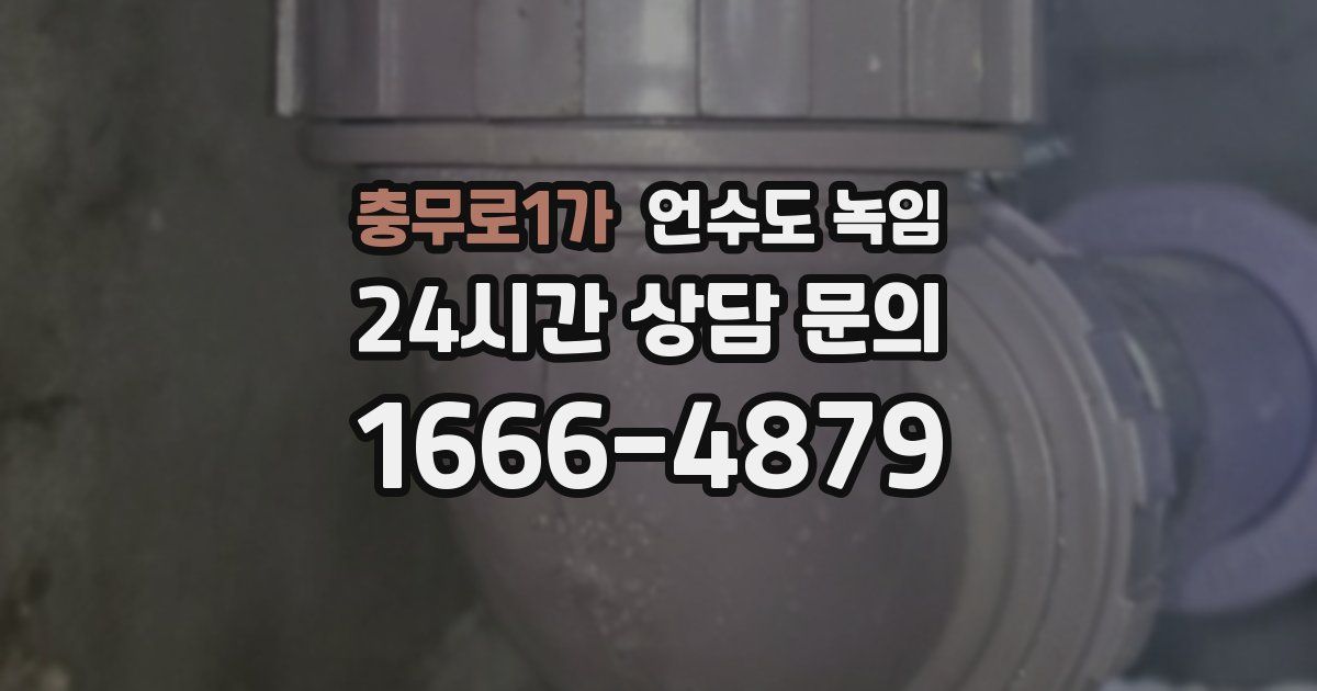 충무로1가 언수도 녹임