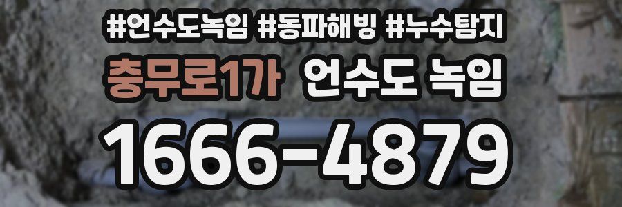 충무로1가 언수도 녹임