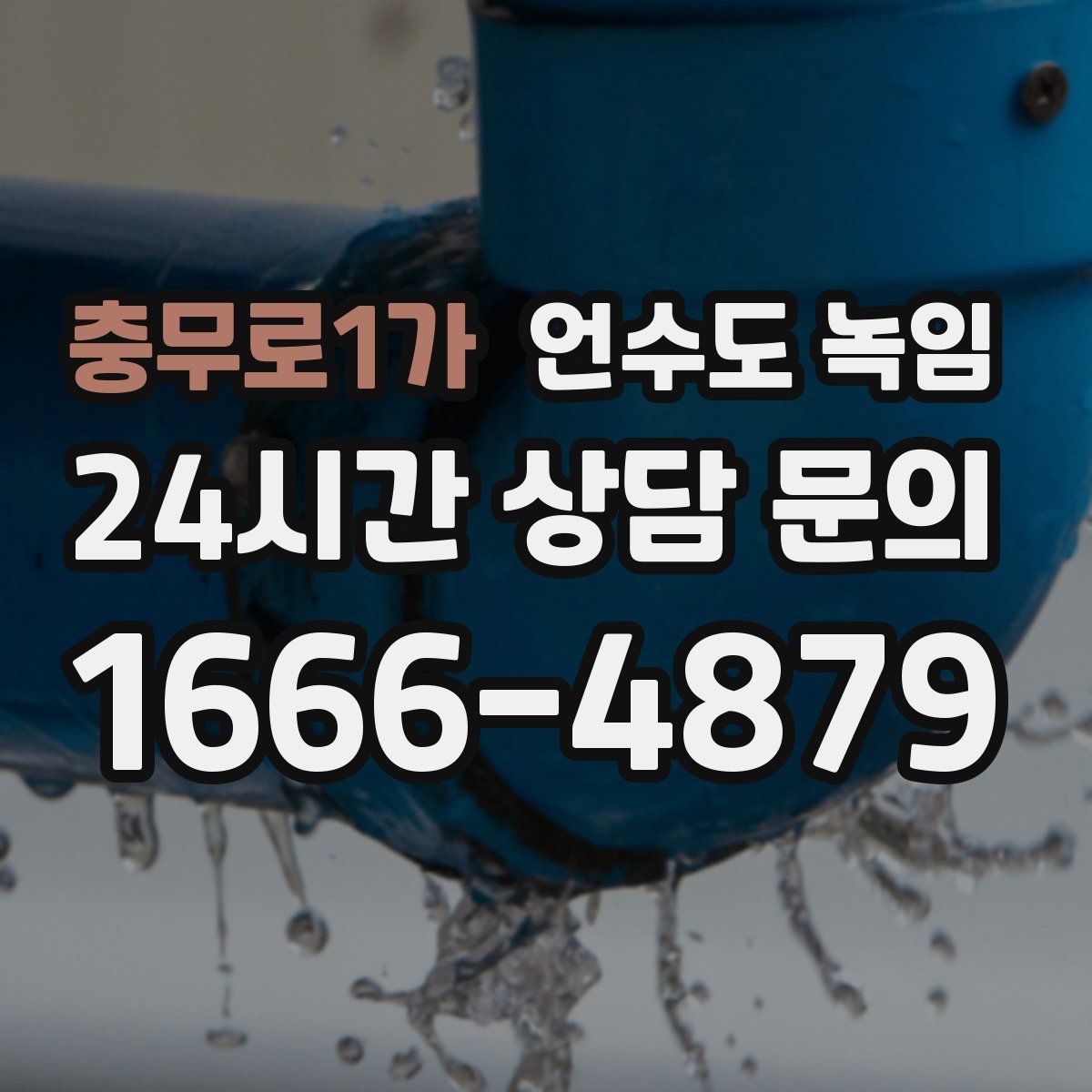 충무로1가 언수도 녹임