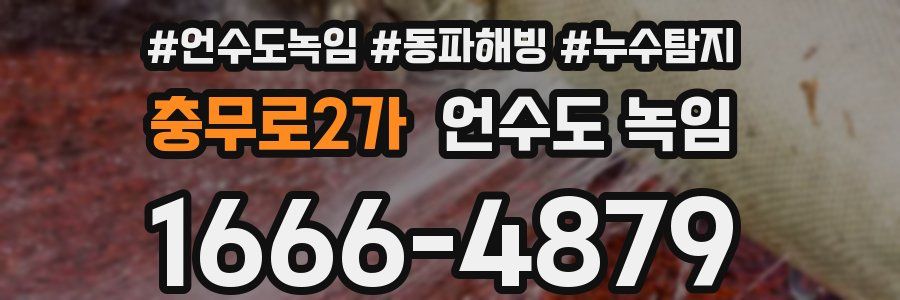 충무로2가 언수도 녹임