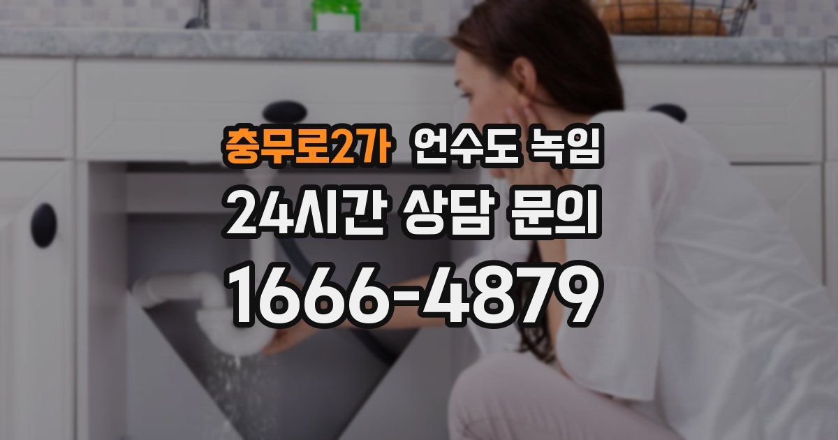 충무로2가 언수도 녹임