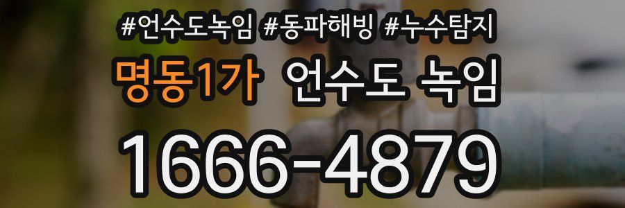 명동1가 언수도 녹임