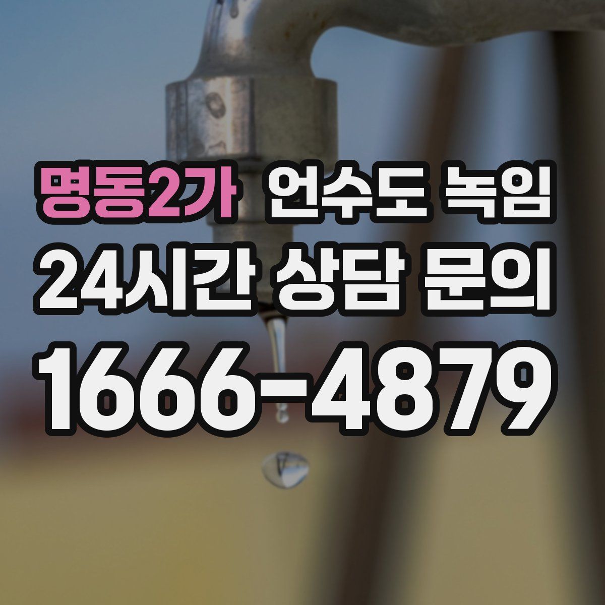 명동2가 언수도 녹임