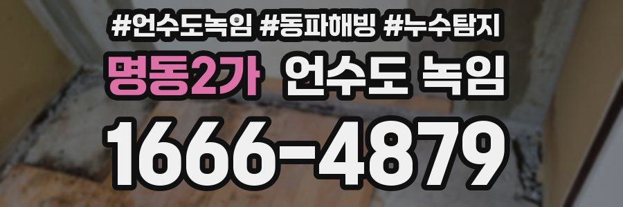 명동2가 언수도 녹임