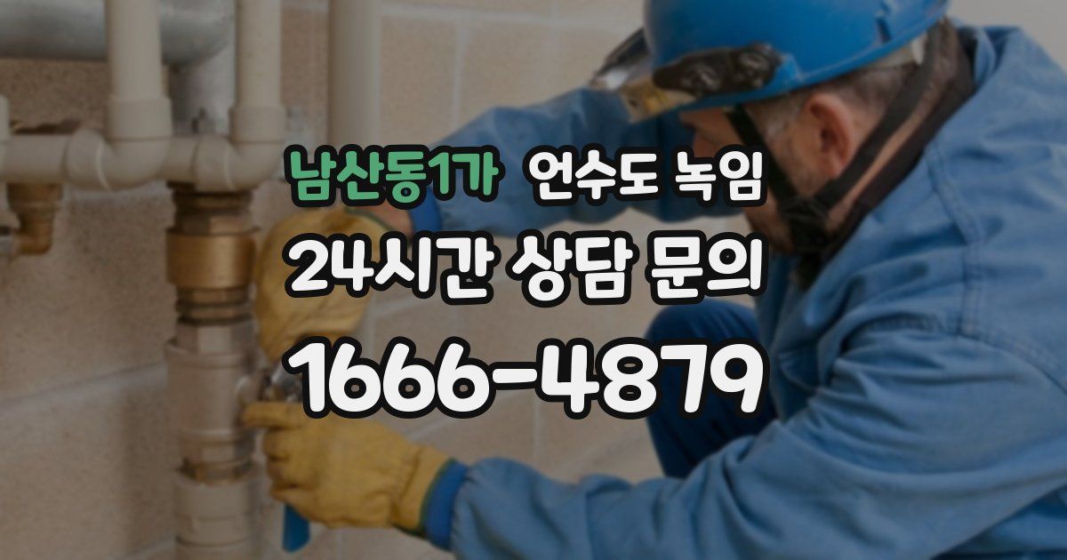 남산동1가 언수도 녹임