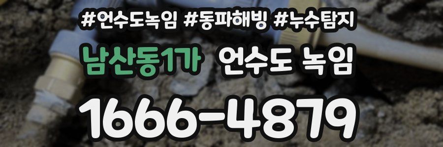 남산동1가 언수도 녹임