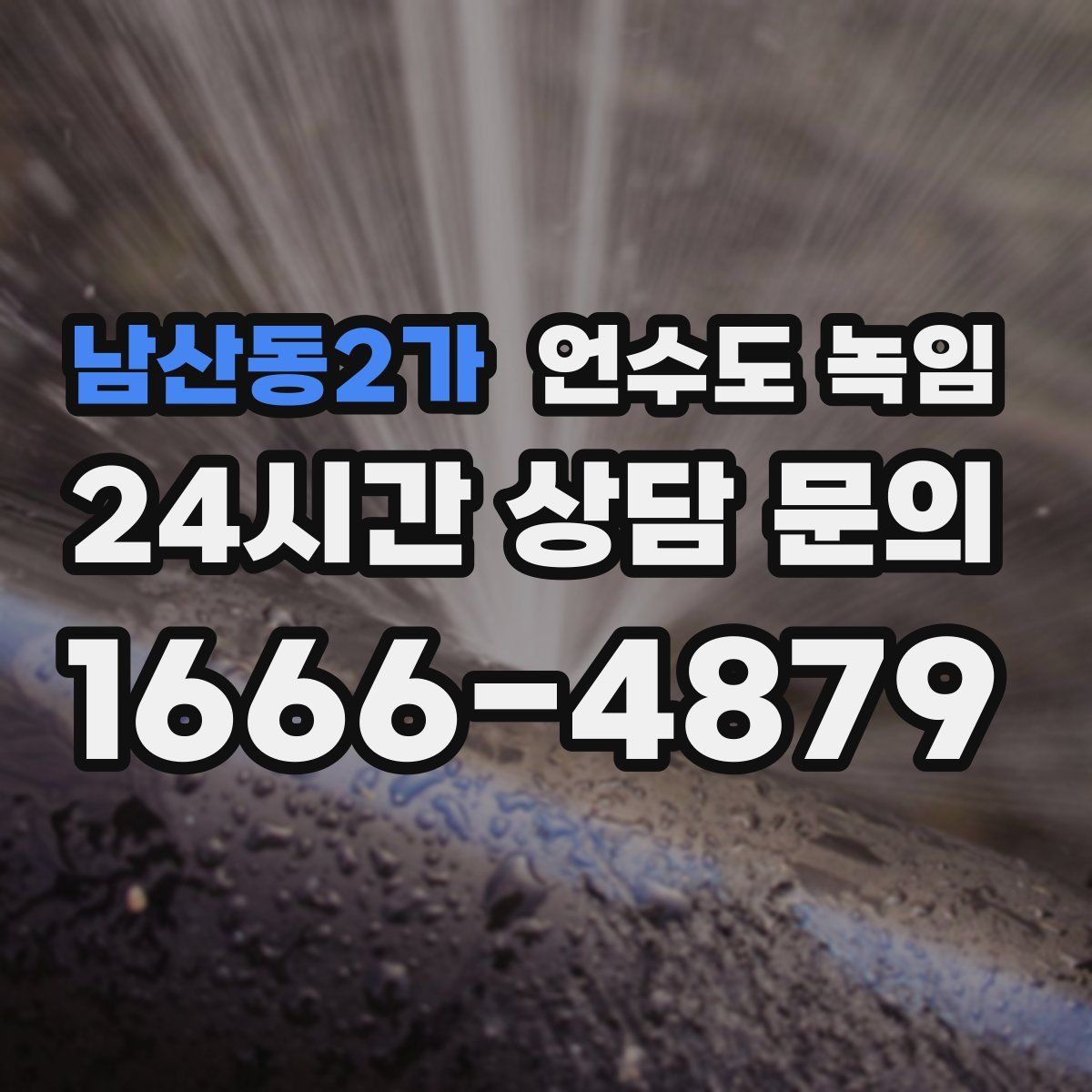 남산동2가 언수도 녹임