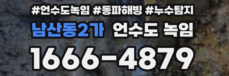 남산동2가 언수도 녹임