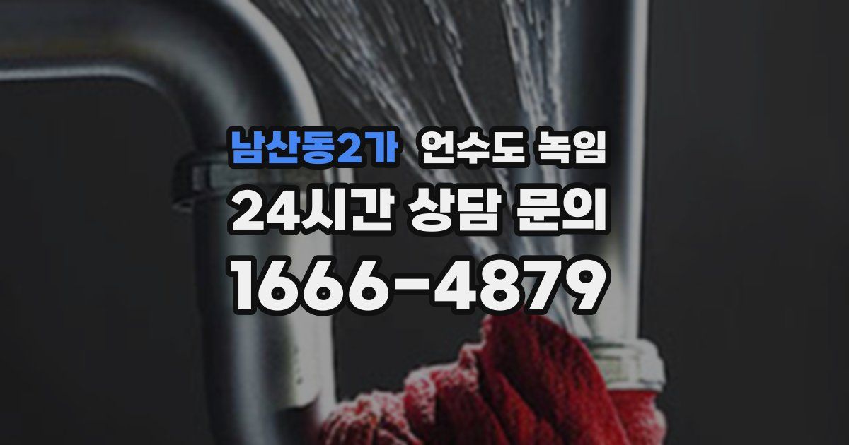 남산동2가 언수도 녹임