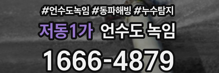 저동1가 언수도 녹임