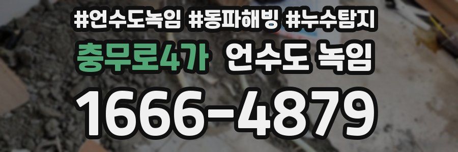 충무로4가 언수도 녹임