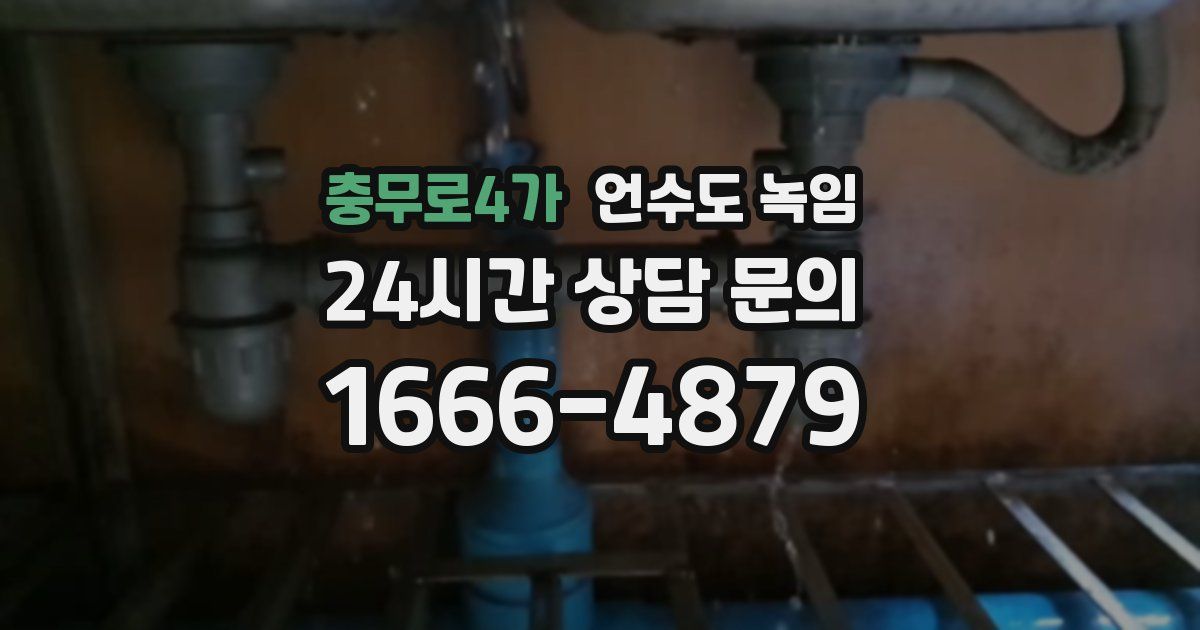 충무로4가 언수도 녹임