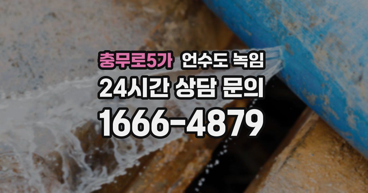 충무로5가 언수도 녹임