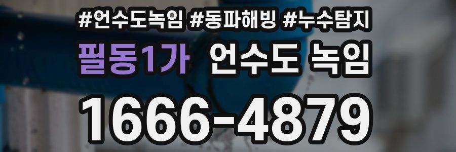 필동1가 언수도 녹임