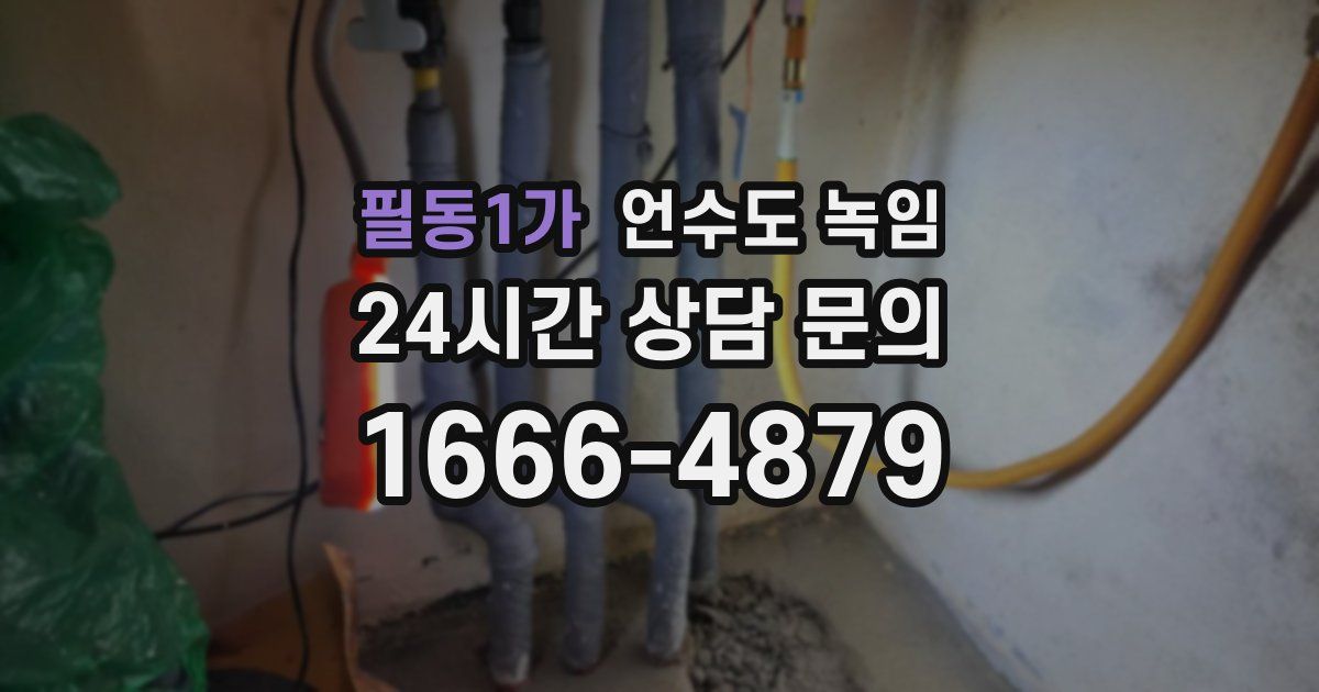 필동1가 언수도 녹임