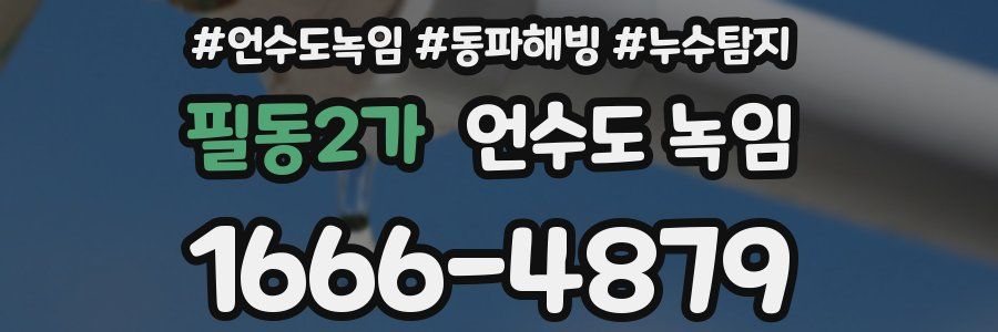 필동2가 언수도 녹임